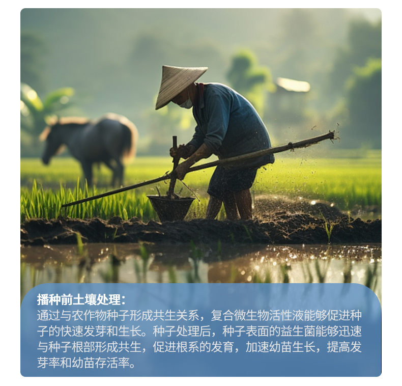 复合微生物活性液（拌种专用）_05.jpg