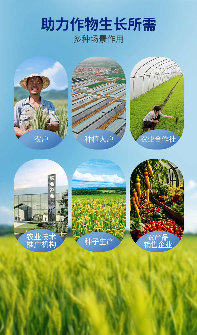 复合微生物活性液（拌种专用）_03.jpg
