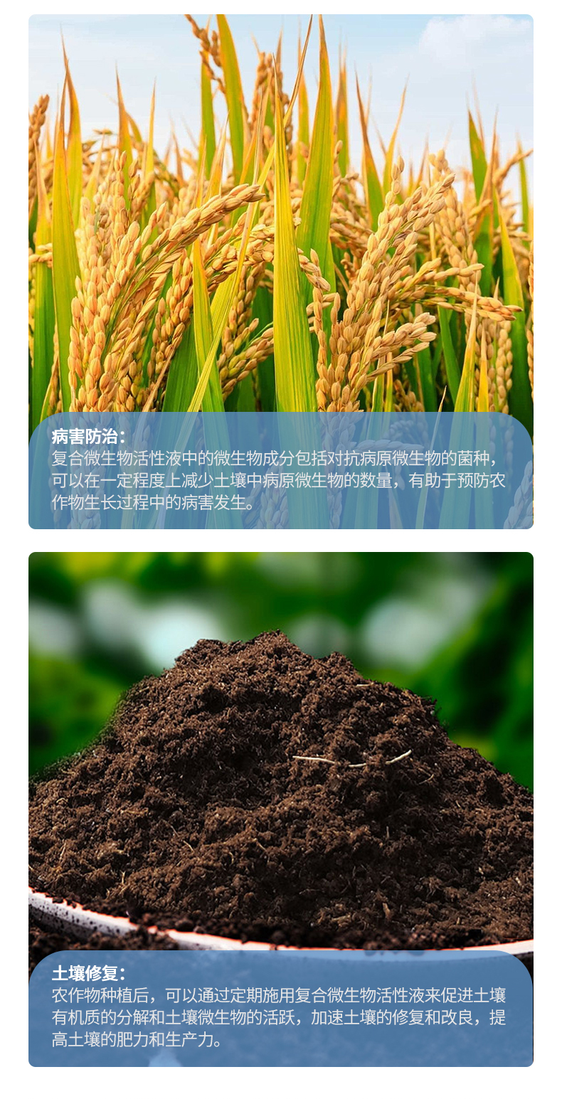 复合微生物活性液（喷洒专用）_06.jpg