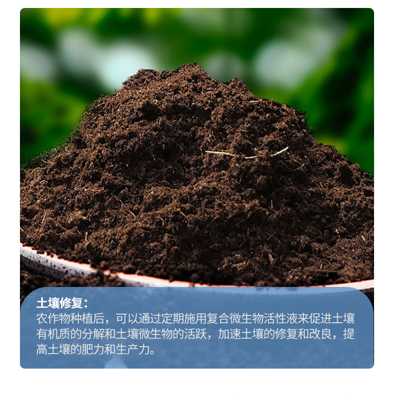 复合微生物活性液（拌种专用）_07.jpg