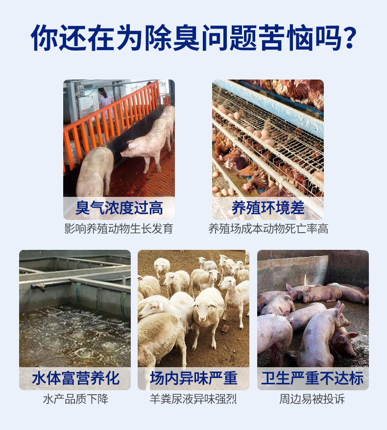 复合微生物养殖异味去除剂-拷贝_02.jpg