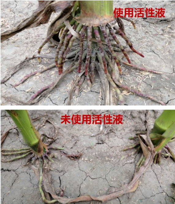 微信截图_20240822134123.png